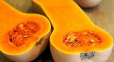 Popis dýňové odrůdy matilda, vlastnosti pěstování a péče